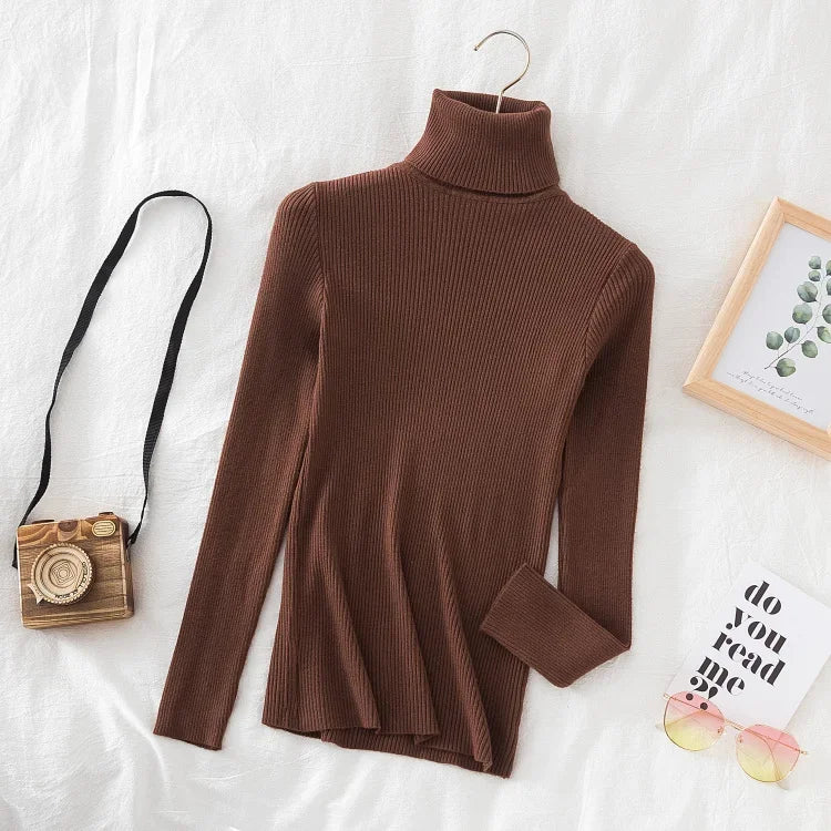 Women Turtleneck Sweater