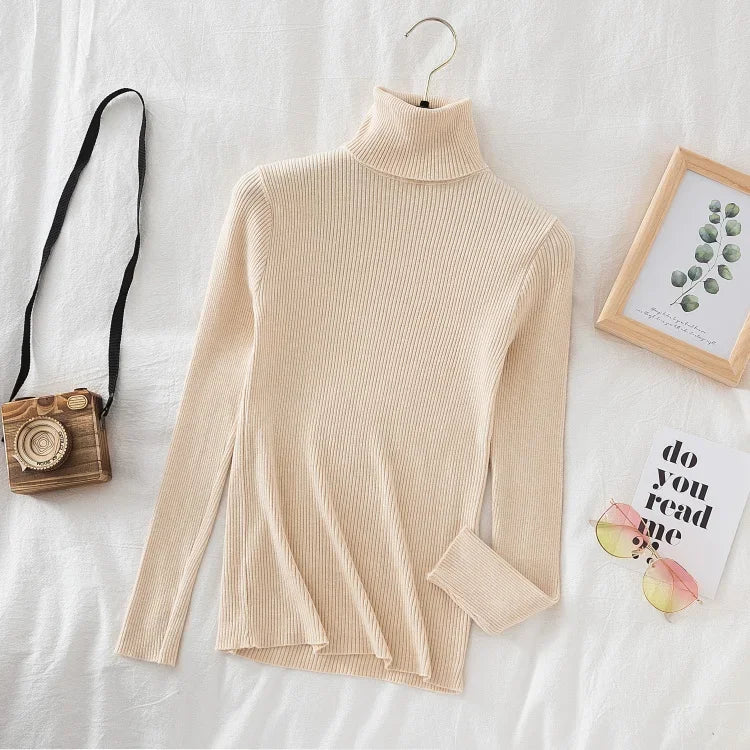 Women Turtleneck Sweater