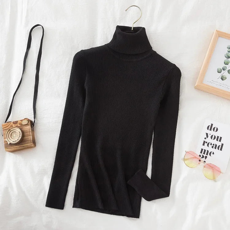Women Turtleneck Sweater